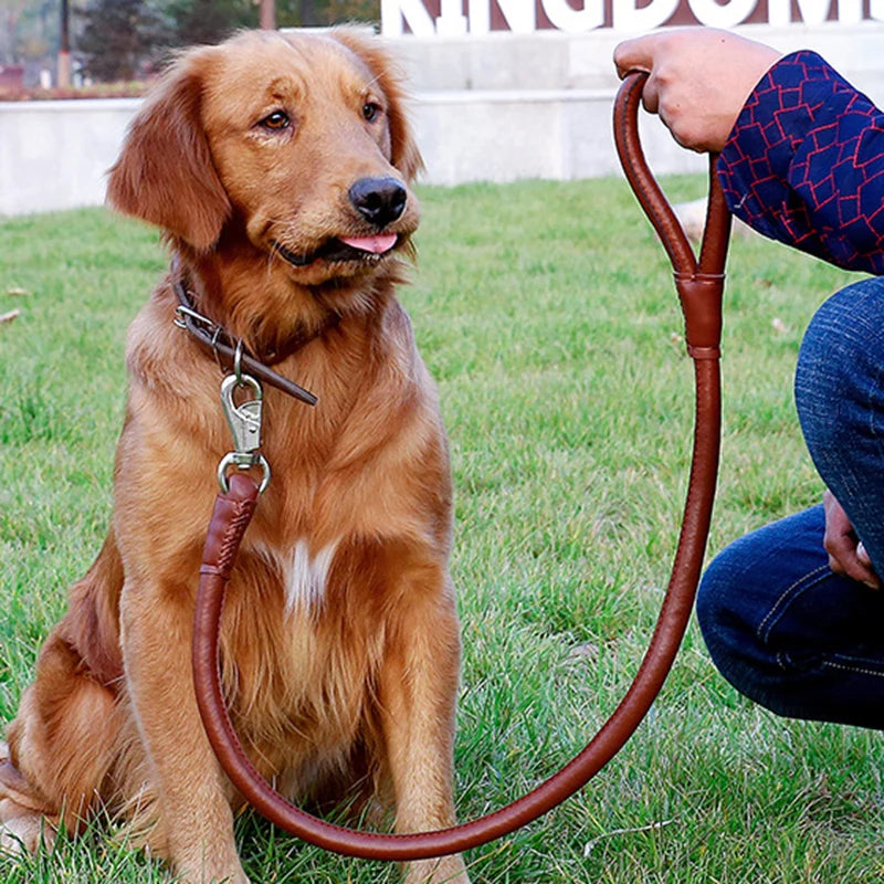 Leather Big Dog Collar and Leash Sets for Medium Large Dogs Doberman Golden Retriever Super Strong Pet Leashes Outdoor Product