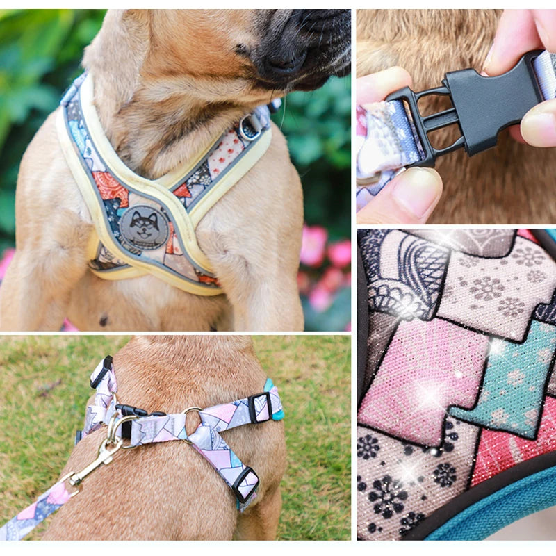 Adjustable Dog Harness & Leash Set