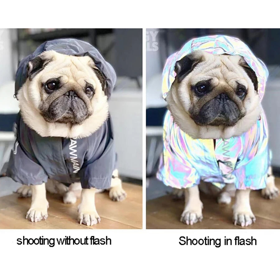 Waterproof Reflective Dog Jacket – Colourful Fashion Coat for All Sizes