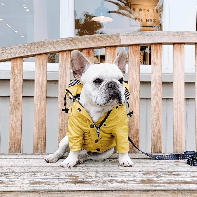 Waterproof Windproof Dog Sport Hoodie Coat