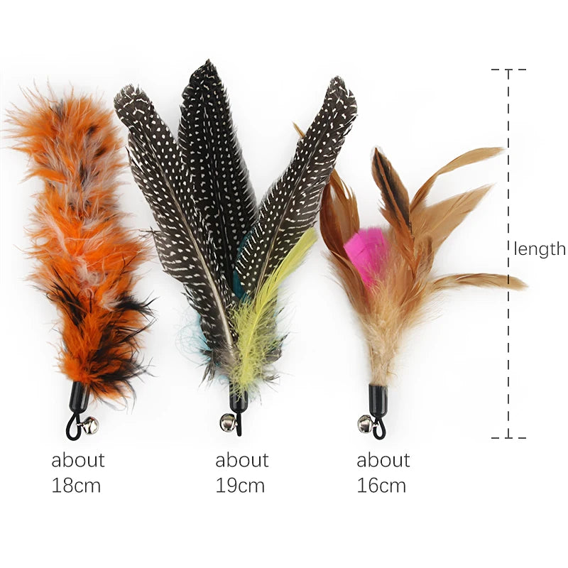 Feather Cat Teaser Stick Replacement Heads (5 Pack)