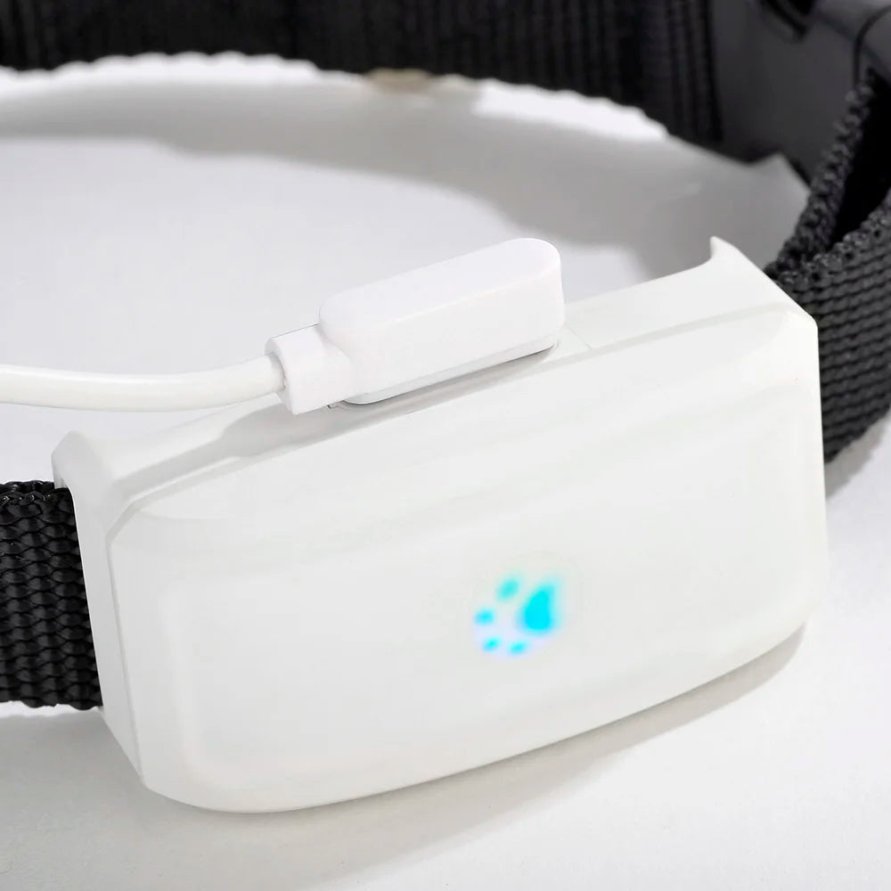Compact Pet GPS Tracker