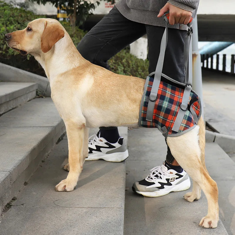 Adjustable Dog Rehabilitation Support Harness