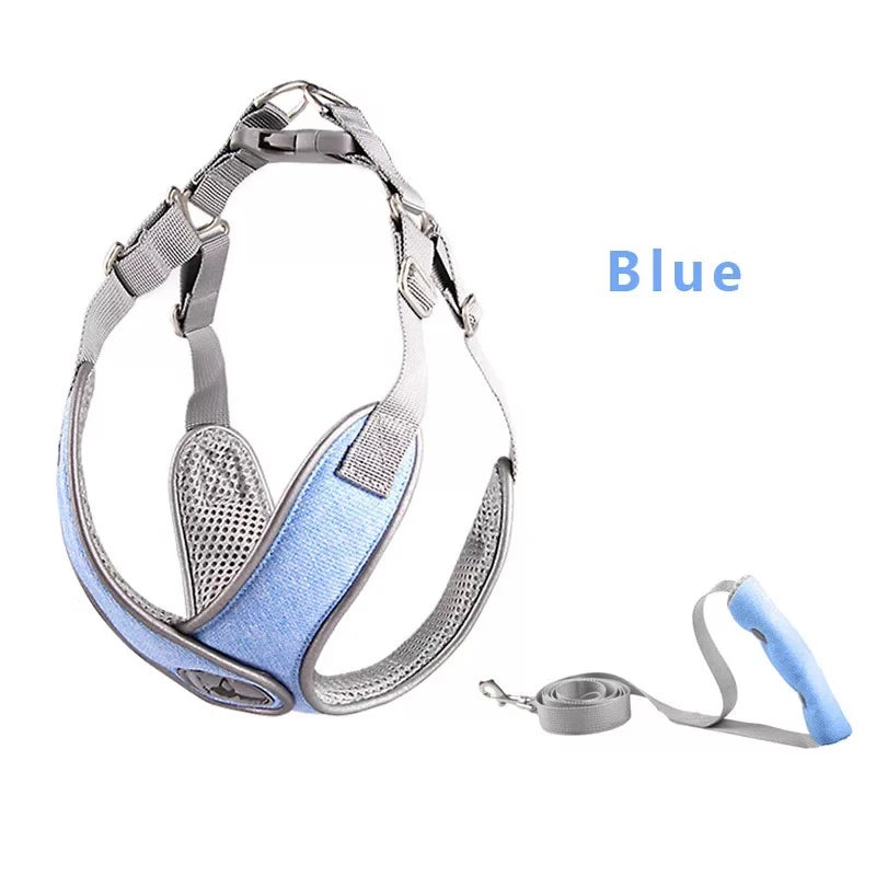Reflective Mesh Dog Harness & Leash Set for Small & Medium Dogs