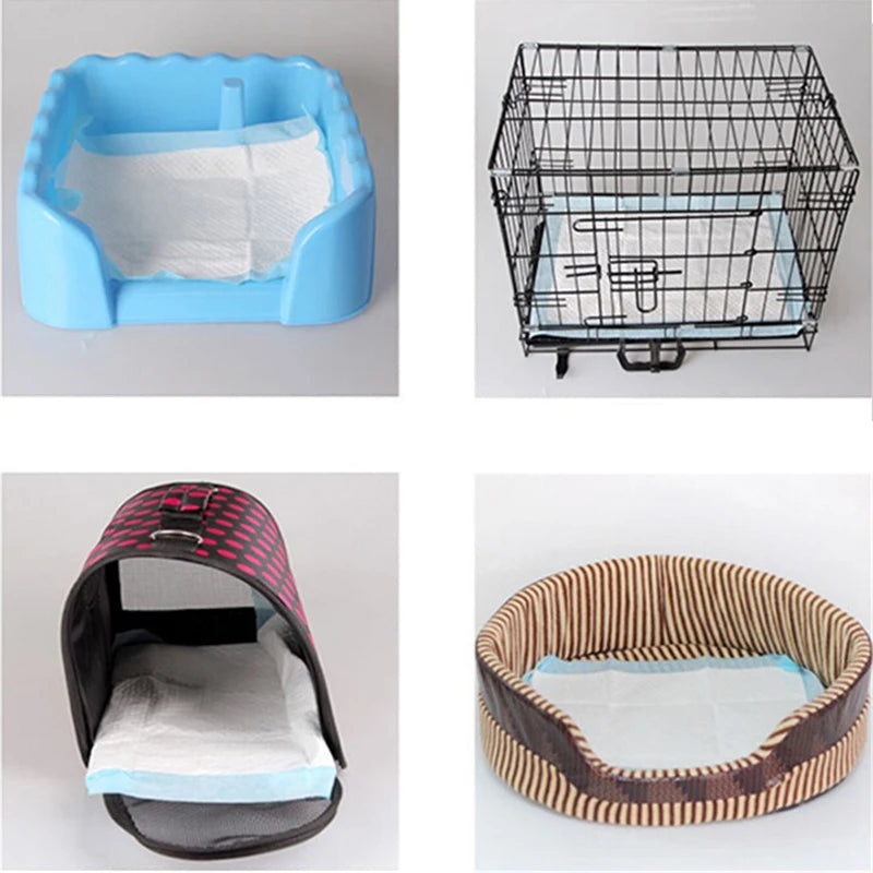 Winter-Ready Super Absorbent Disposable Pet Training Pads