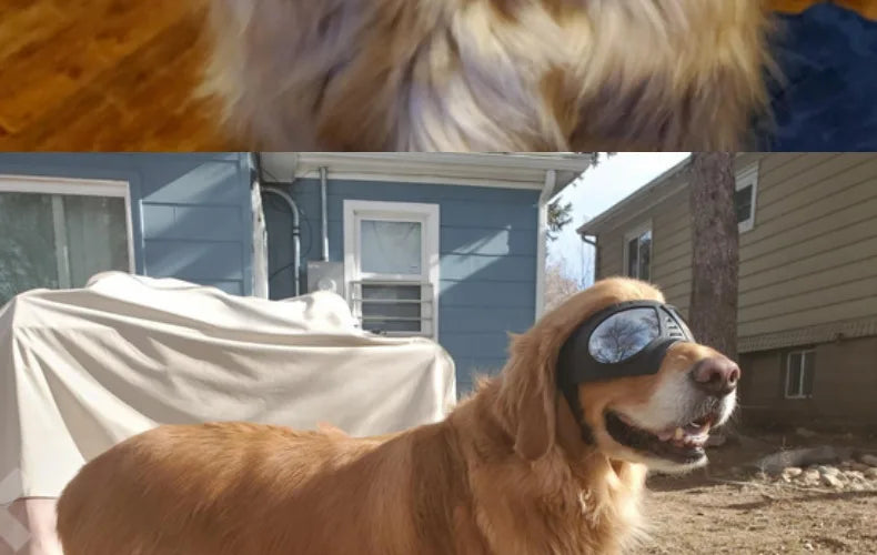 UV Protection Windproof Dog Goggles & Sunglasses