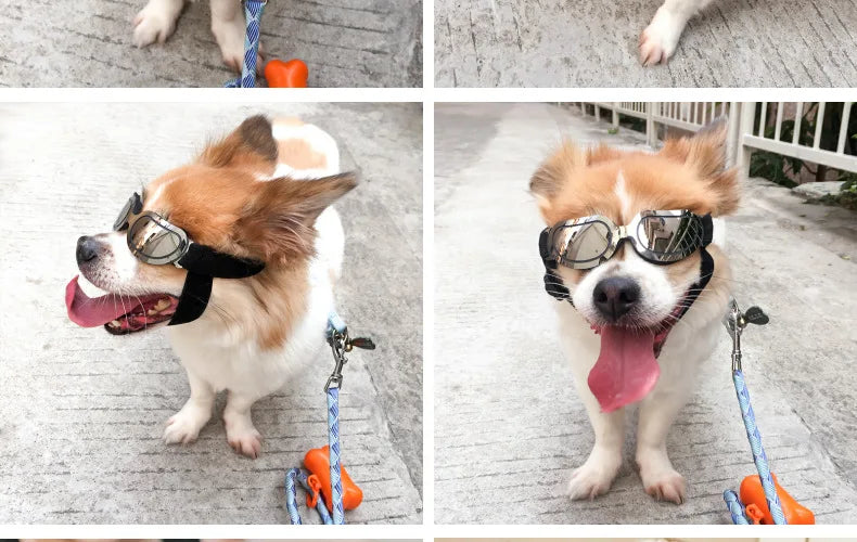 Adjustable Dog Sunglasses & Goggles