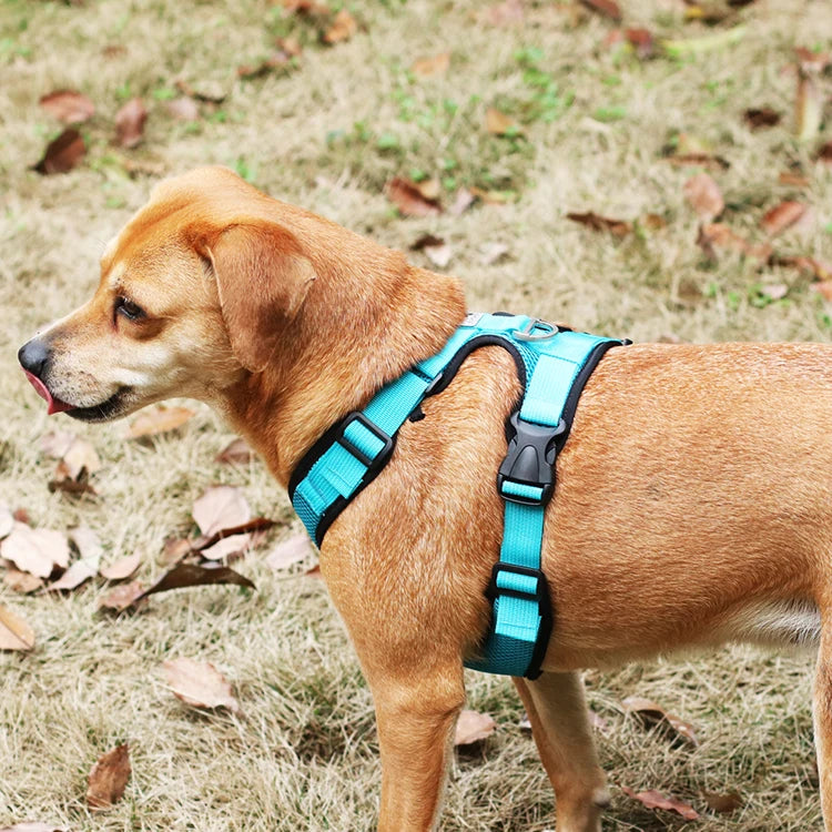 Breathable Mesh Vest Harness for Dogs & Cats