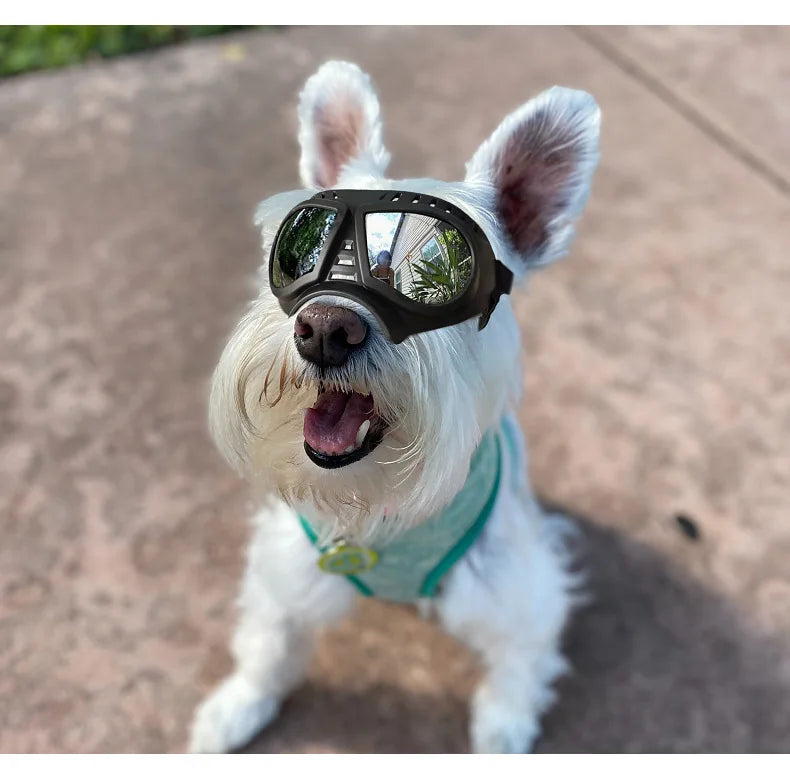 UV Protection Windproof Dog Goggles & Sunglasses