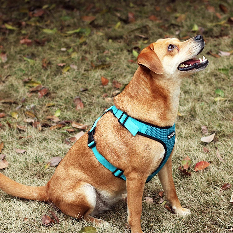 Breathable Mesh Vest Harness for Dogs & Cats