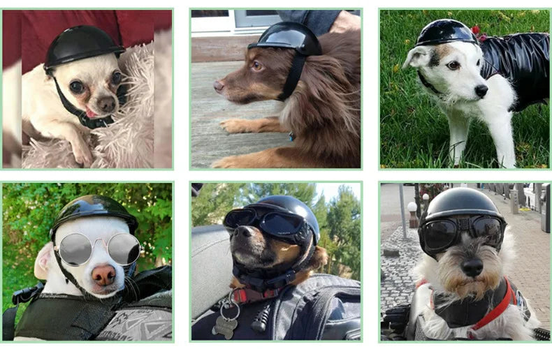 Motorcycle Helmet Hat for Dogs & Cats