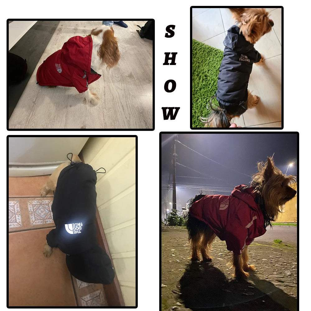 Manteau imperméable à capuche pour chien