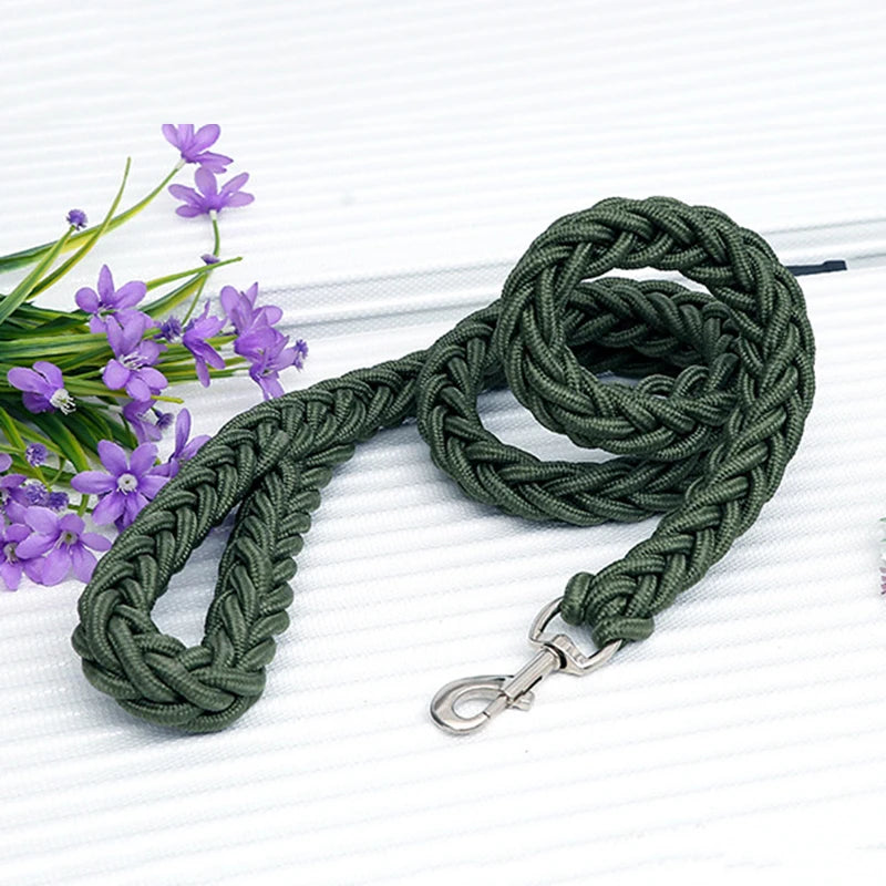 Heavy-Duty Nylon Dog Lead