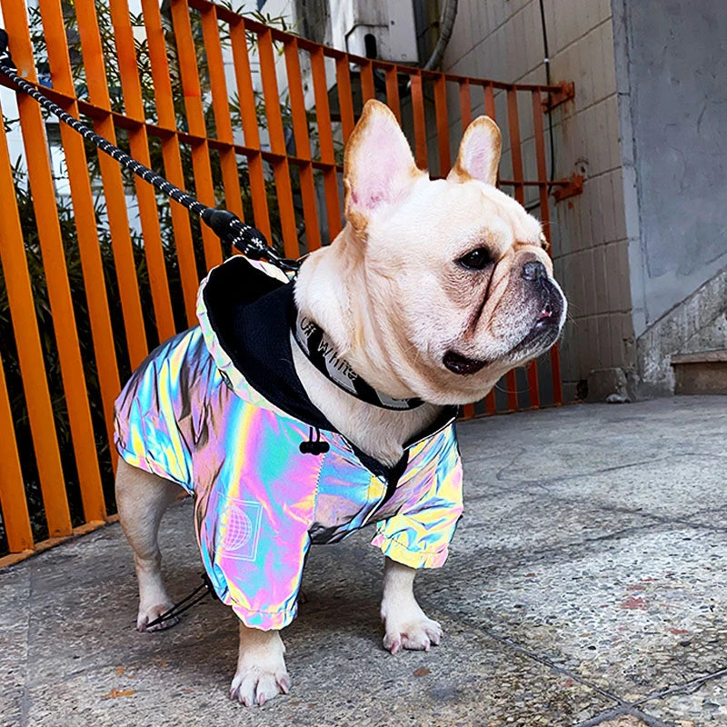 Waterproof Reflective Dog Jacket – Colourful Fashion Coat for All Sizes
