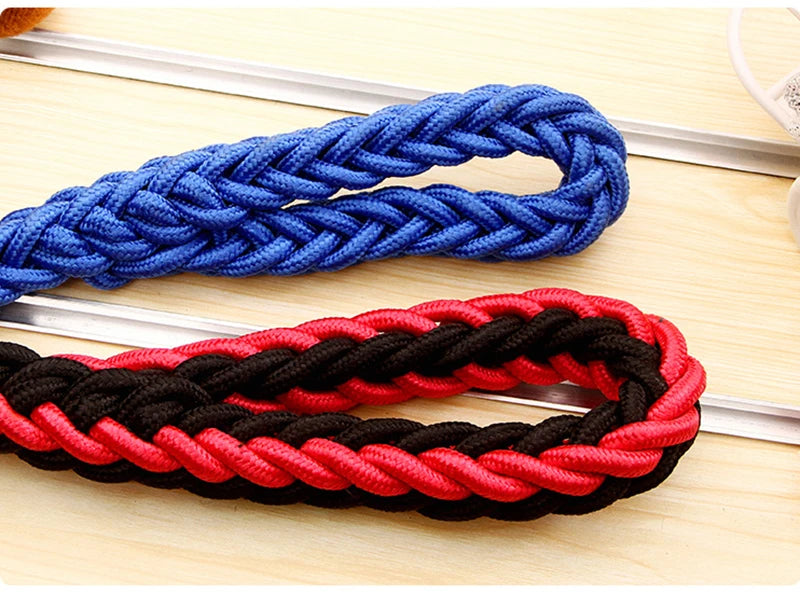 Heavy-Duty Nylon Dog Lead