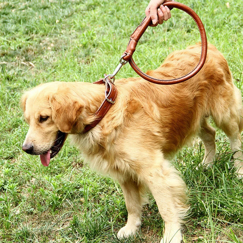 Leather Big Dog Collar and Leash Sets for Medium Large Dogs Doberman Golden Retriever Super Strong Pet Leashes Outdoor Product