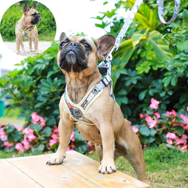 Adjustable Dog Harness & Leash Set