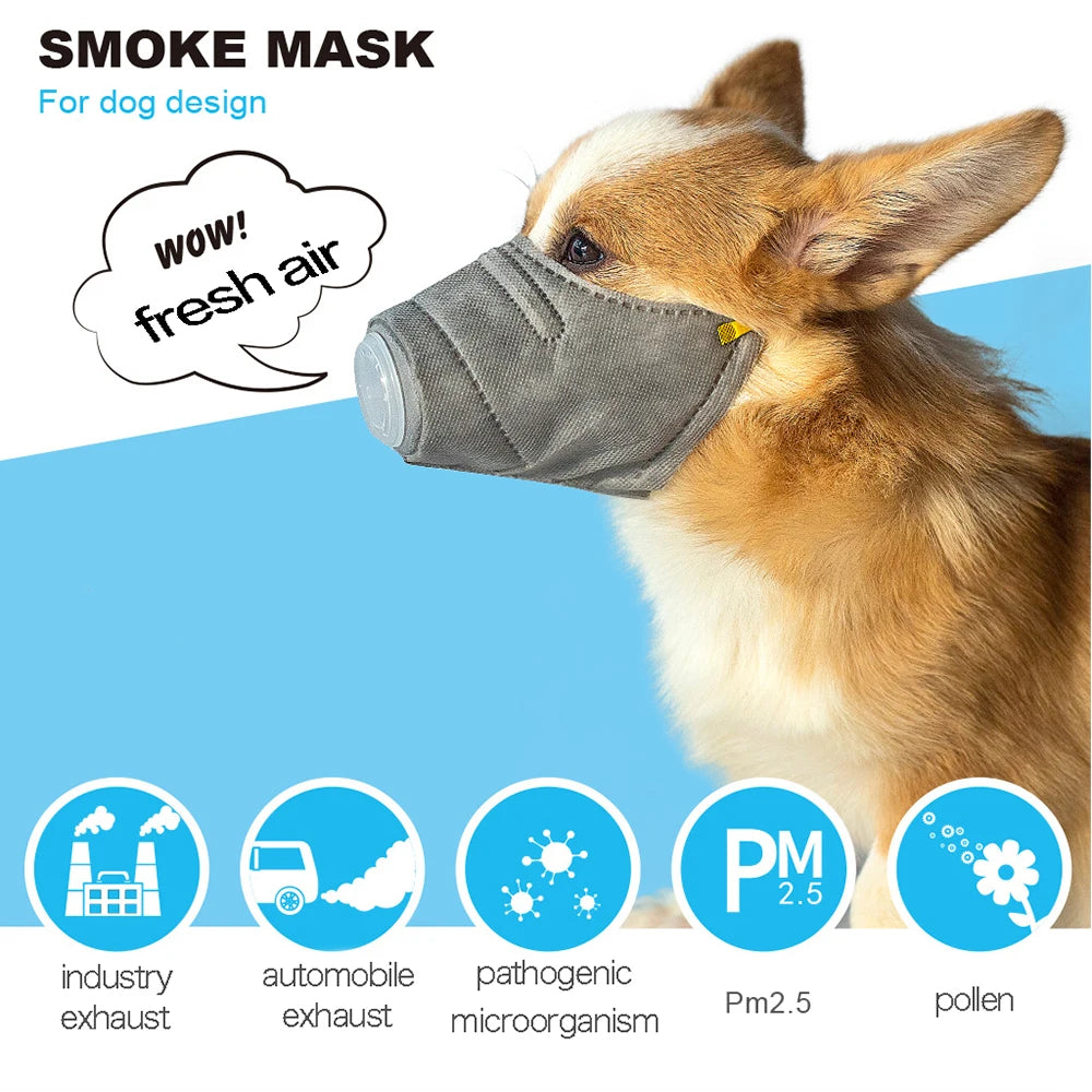 Dog Air Filter Face Mask – Pack of 3