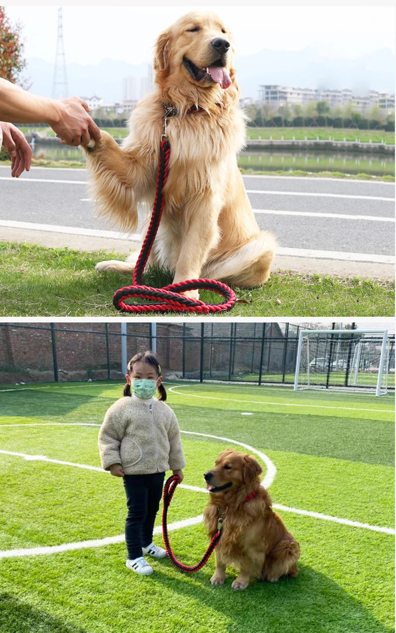 Heavy-Duty Nylon Dog Lead