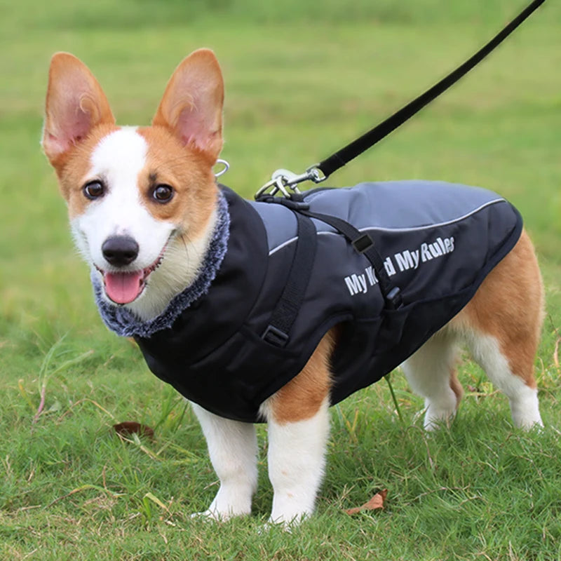 Waterproof Fleece Dog Jacket with Furry Collar & Reflective Trim