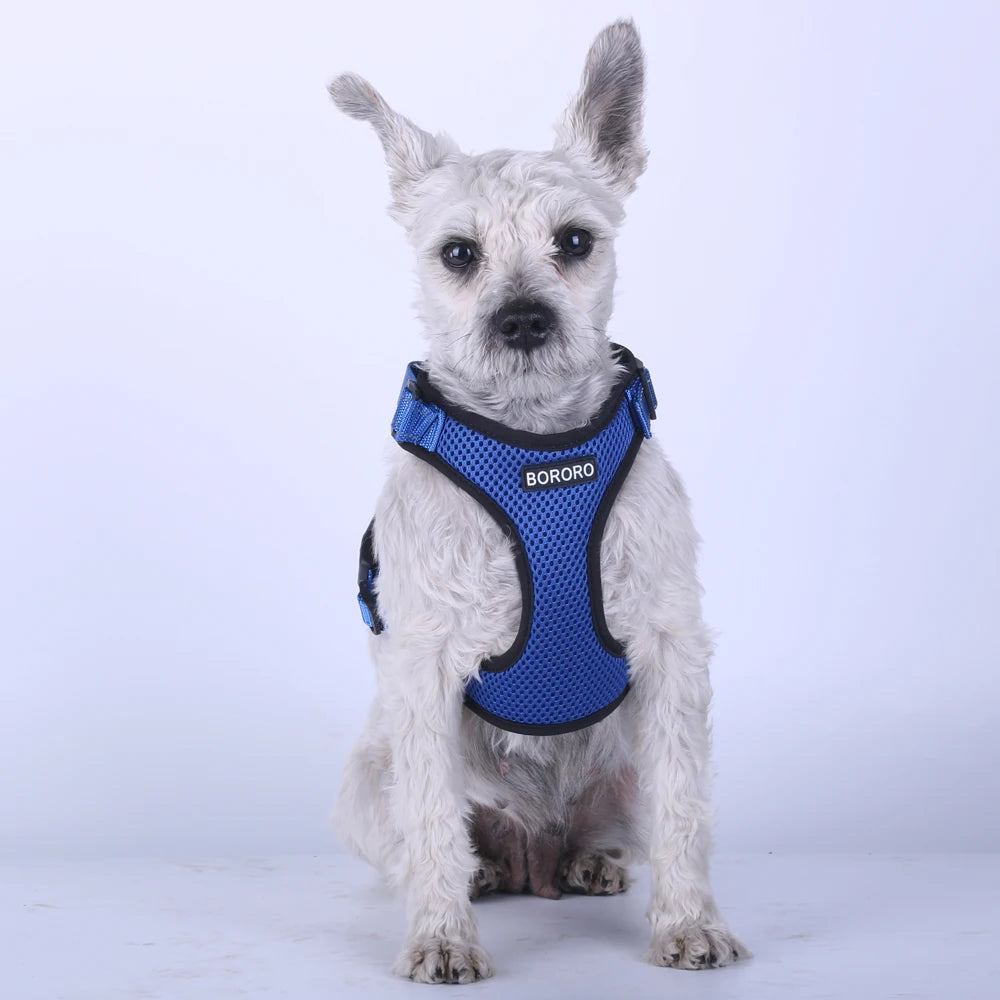 Breathable Mesh Vest Harness for Dogs & Cats