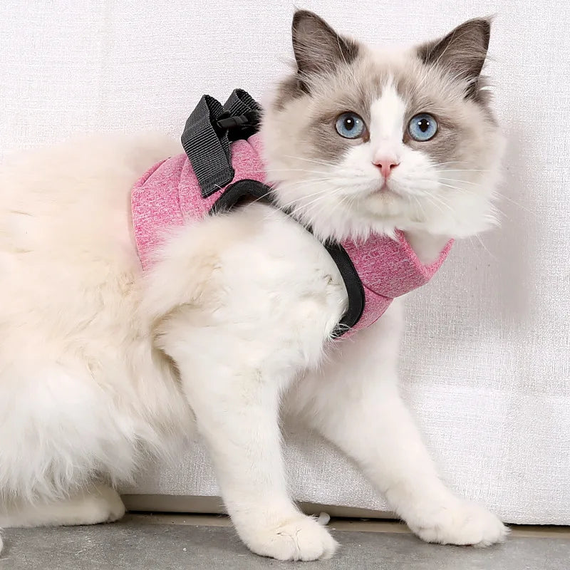 Anti-Escape Kitten Harness & Leash Set