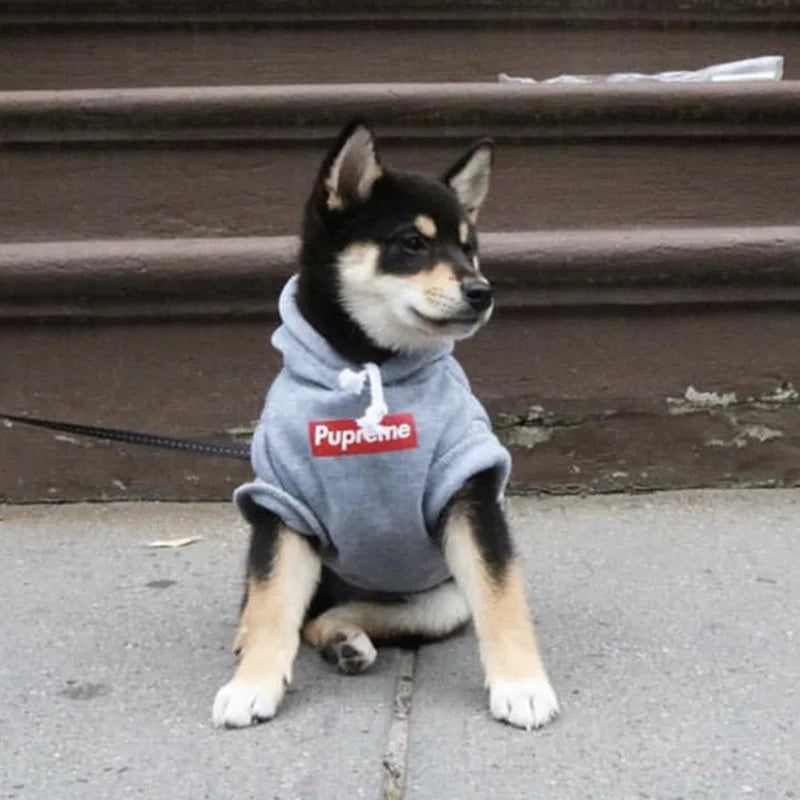 Plush Cotton Hoodie Jacket for Dogs & Cats