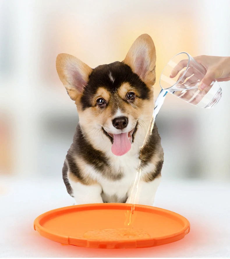Interactive Flying Disc Ring Toy for Dogs
