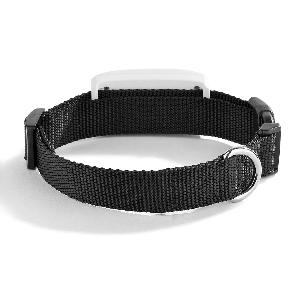 Compact Pet GPS Tracker