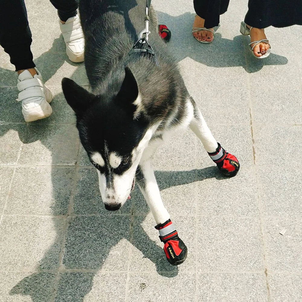 Reflective Waterproof Anti-Slip Dog Boots (Set of 4)