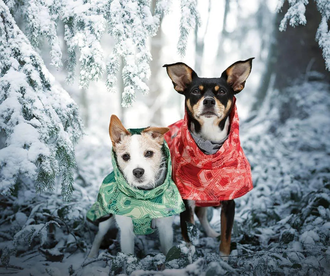 Waterproof Winter Dog Jacket – Warm Outfit for Small, Medium & Large Dogs