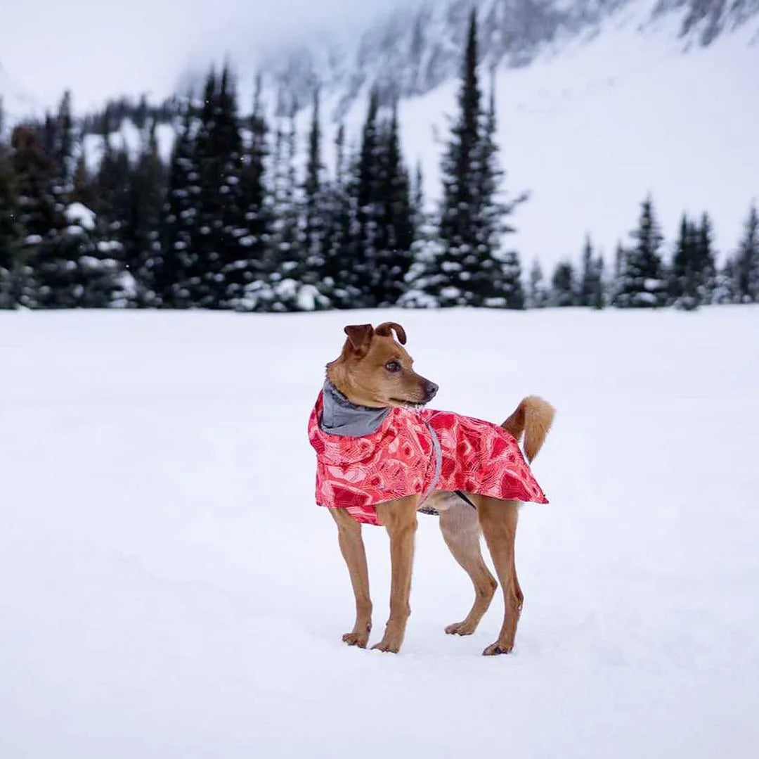 Waterproof Winter Dog Jacket – Warm Outfit for Small, Medium & Large Dogs