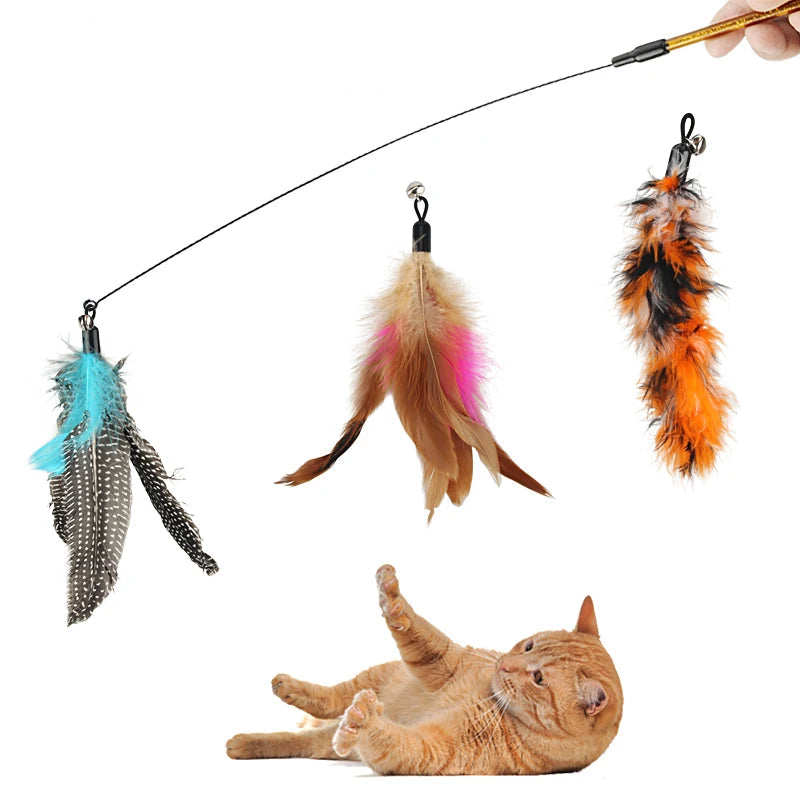 Feather Cat Teaser Stick Replacement Heads (5 Pack)