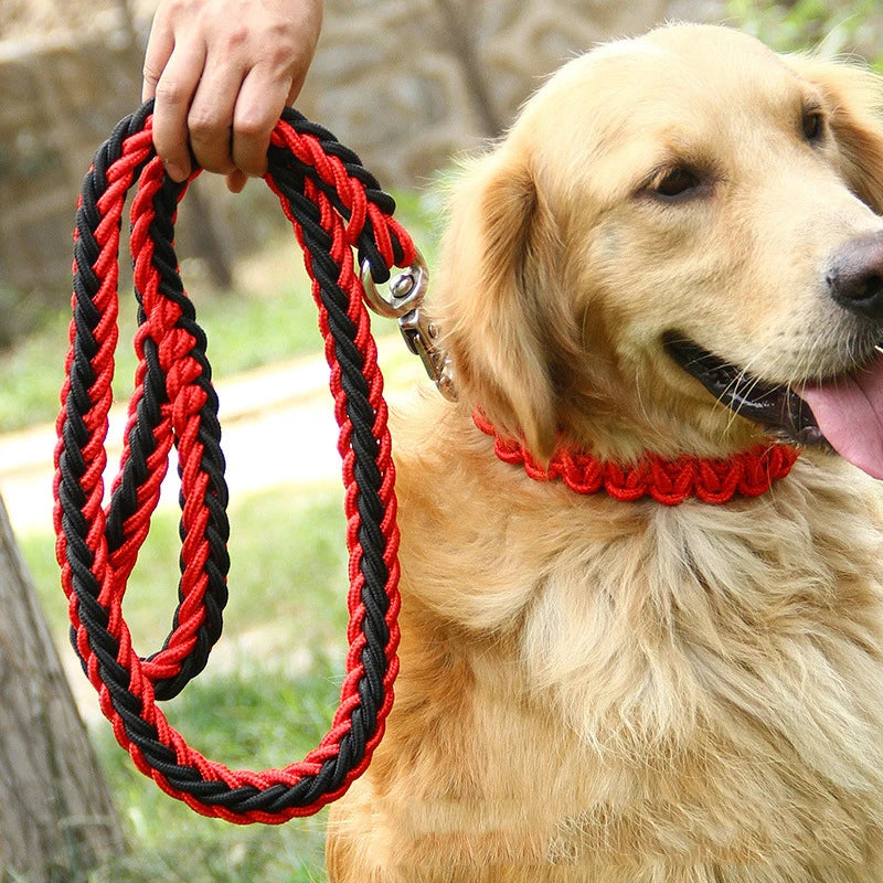 Heavy-Duty Nylon Dog Lead