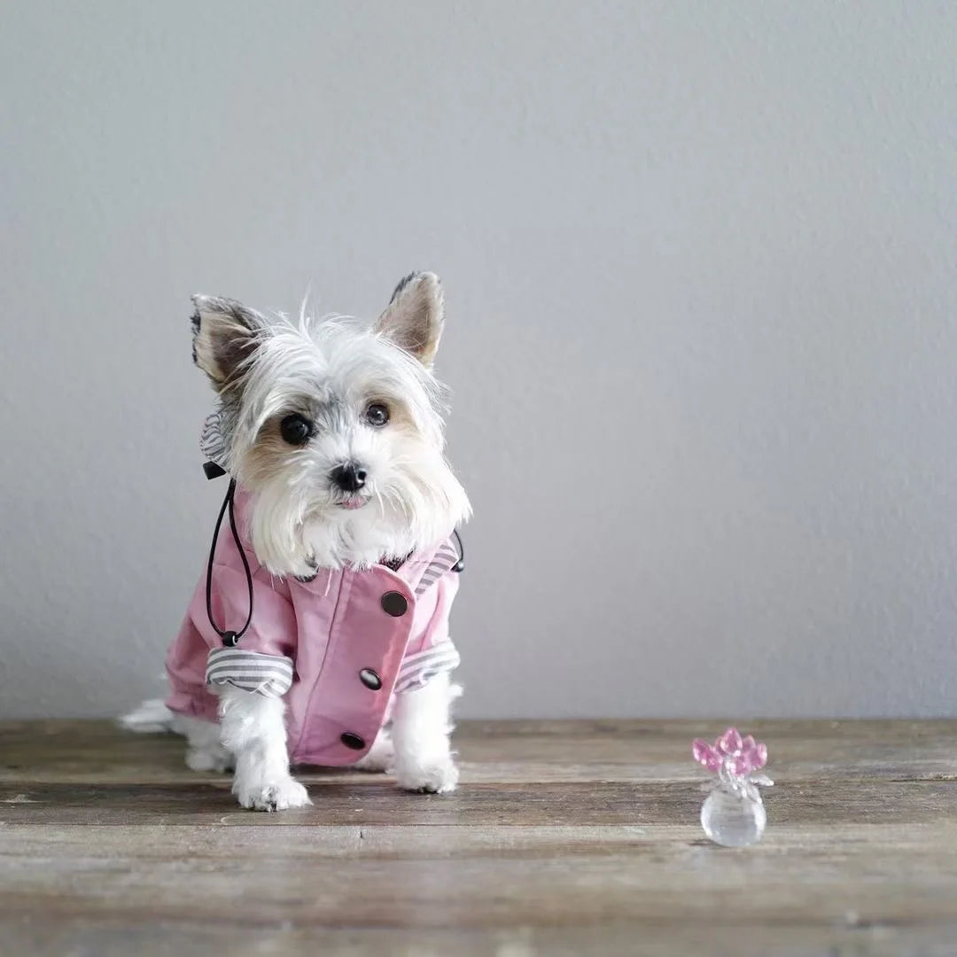 Waterproof Windproof Dog Sport Hoodie Coat