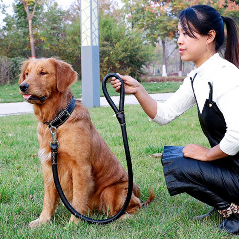 Leather Big Dog Collar and Leash Sets for Medium Large Dogs Doberman Golden Retriever Super Strong Pet Leashes Outdoor Product