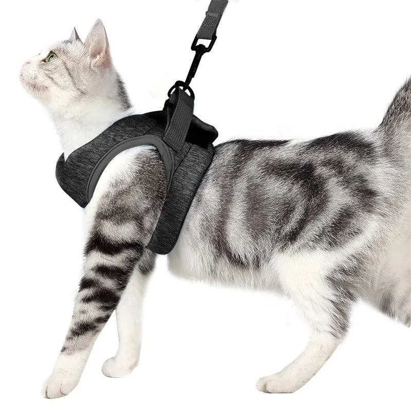 Anti-Escape Kitten Harness & Leash Set