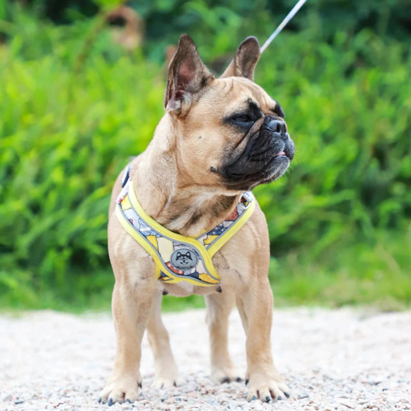 Adjustable Dog Harness & Leash Set