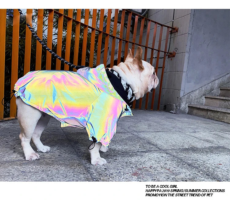 Waterproof Reflective Dog Jacket – Colourful Fashion Coat for All Sizes