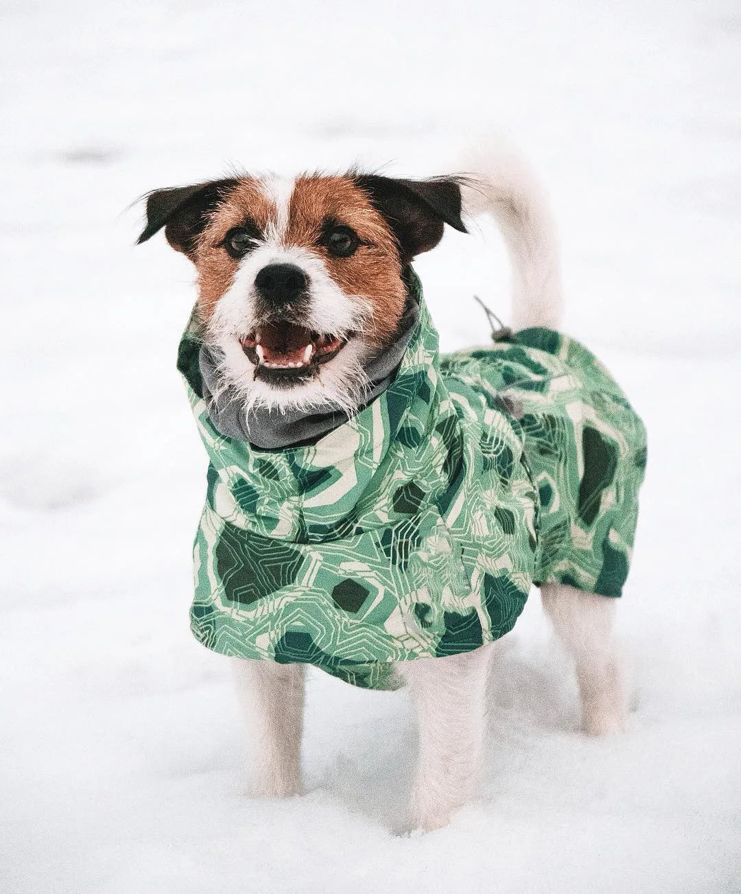 Waterproof Winter Dog Jacket – Warm Outfit for Small, Medium & Large Dogs