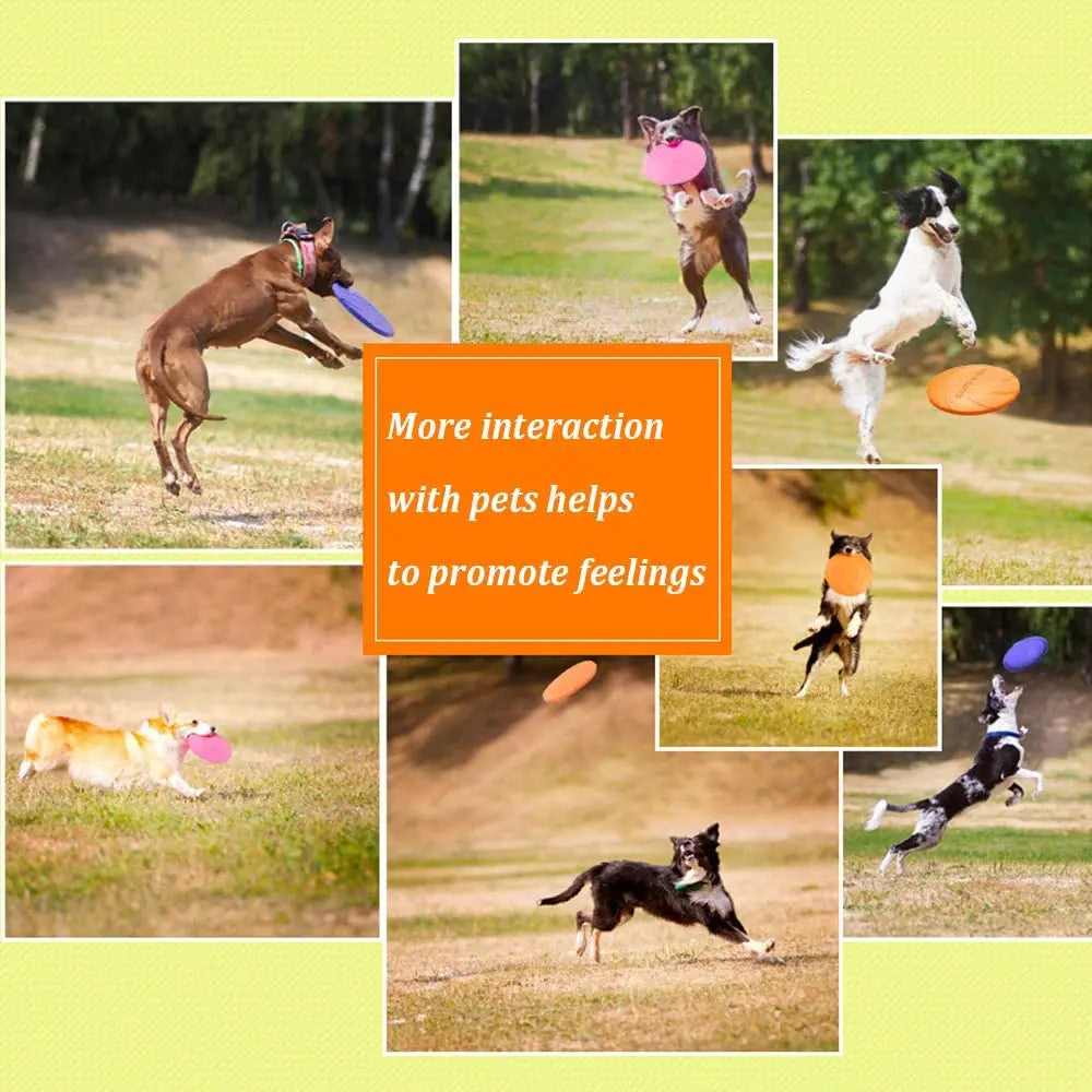 Interactive Flying Disc Ring Toy for Dogs