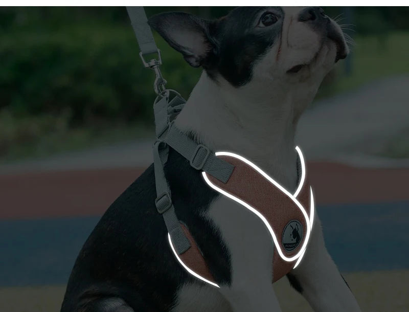 Reflective Mesh Dog Harness & Leash Set for Small & Medium Dogs