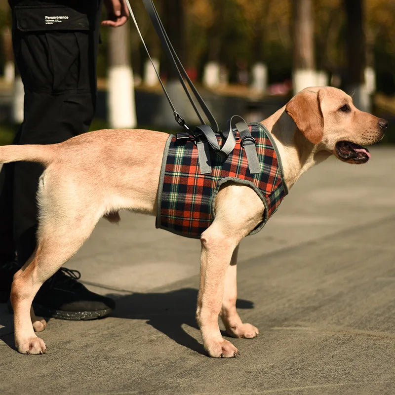 Adjustable Dog Rehabilitation Support Harness