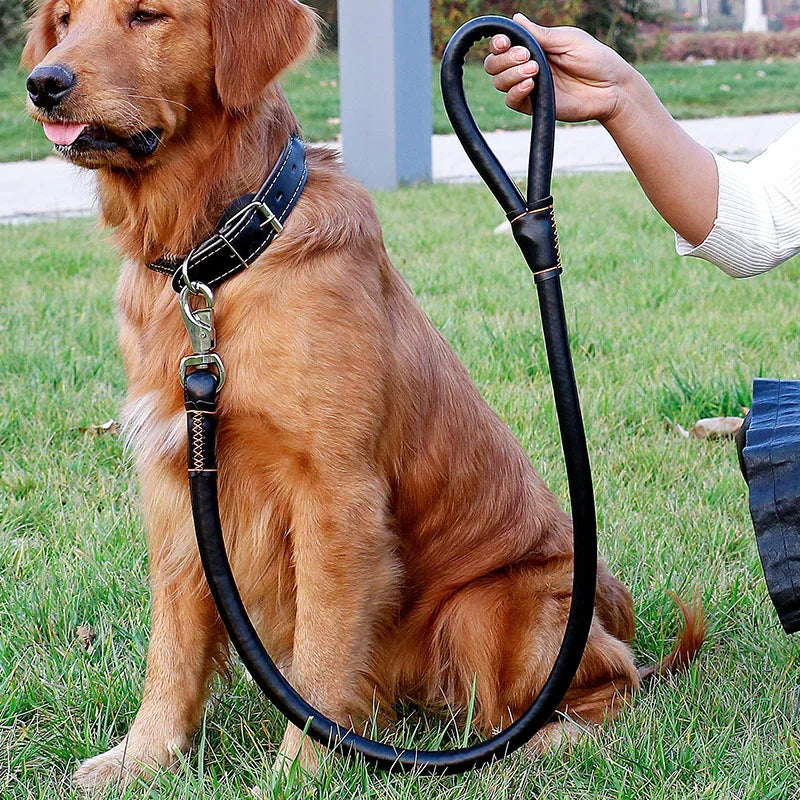 Leather Big Dog Collar and Leash Sets for Medium Large Dogs Doberman Golden Retriever Super Strong Pet Leashes Outdoor Product