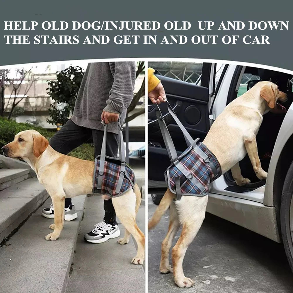 Adjustable Dog Rehabilitation Support Harness