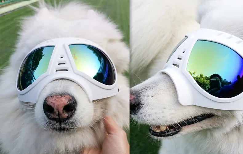 UV Protection Windproof Dog Goggles & Sunglasses