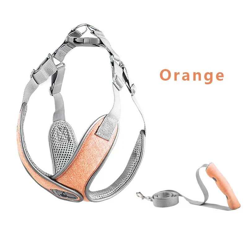 Reflective Mesh Dog Harness & Leash Set for Small & Medium Dogs