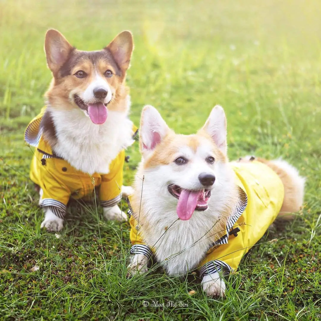 Waterproof Windproof Dog Sport Hoodie Coat