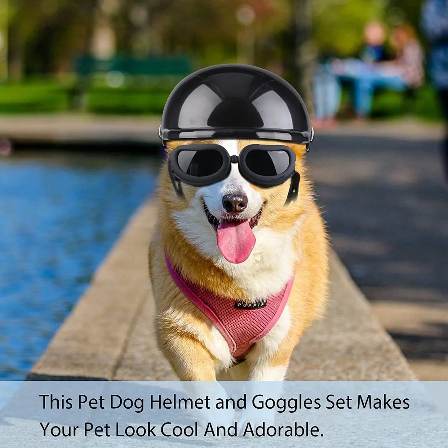 Dog Helmet & Goggles Set - UV Protection Sunglasses for Small Dogs