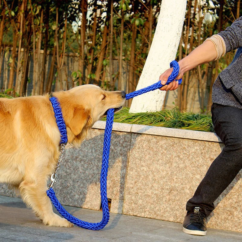 Heavy-Duty Nylon Dog Lead